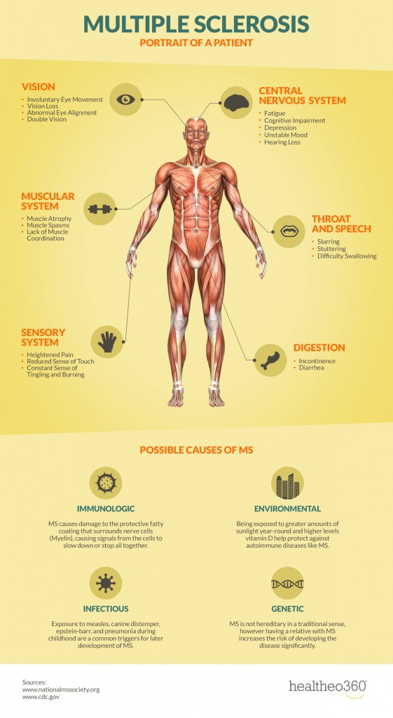 infographic-how-ms-affects-your-body-newlifeoutlook